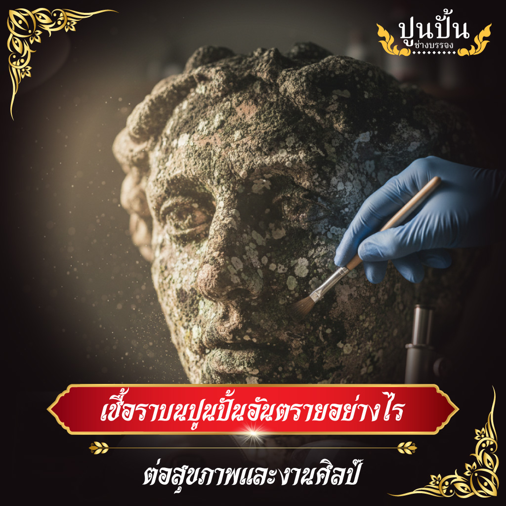 เชื้อราบนปูนปั้นอันตรายอย่างไรต่อสุขภาพและงานศิลป์
